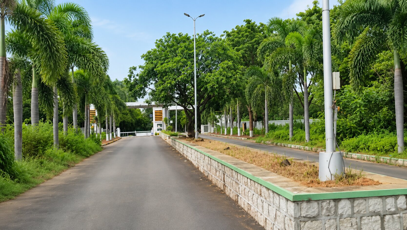Rich Green Bagh Mankhal